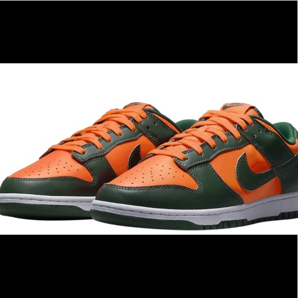 MIAMI DUNKS SIZE 11